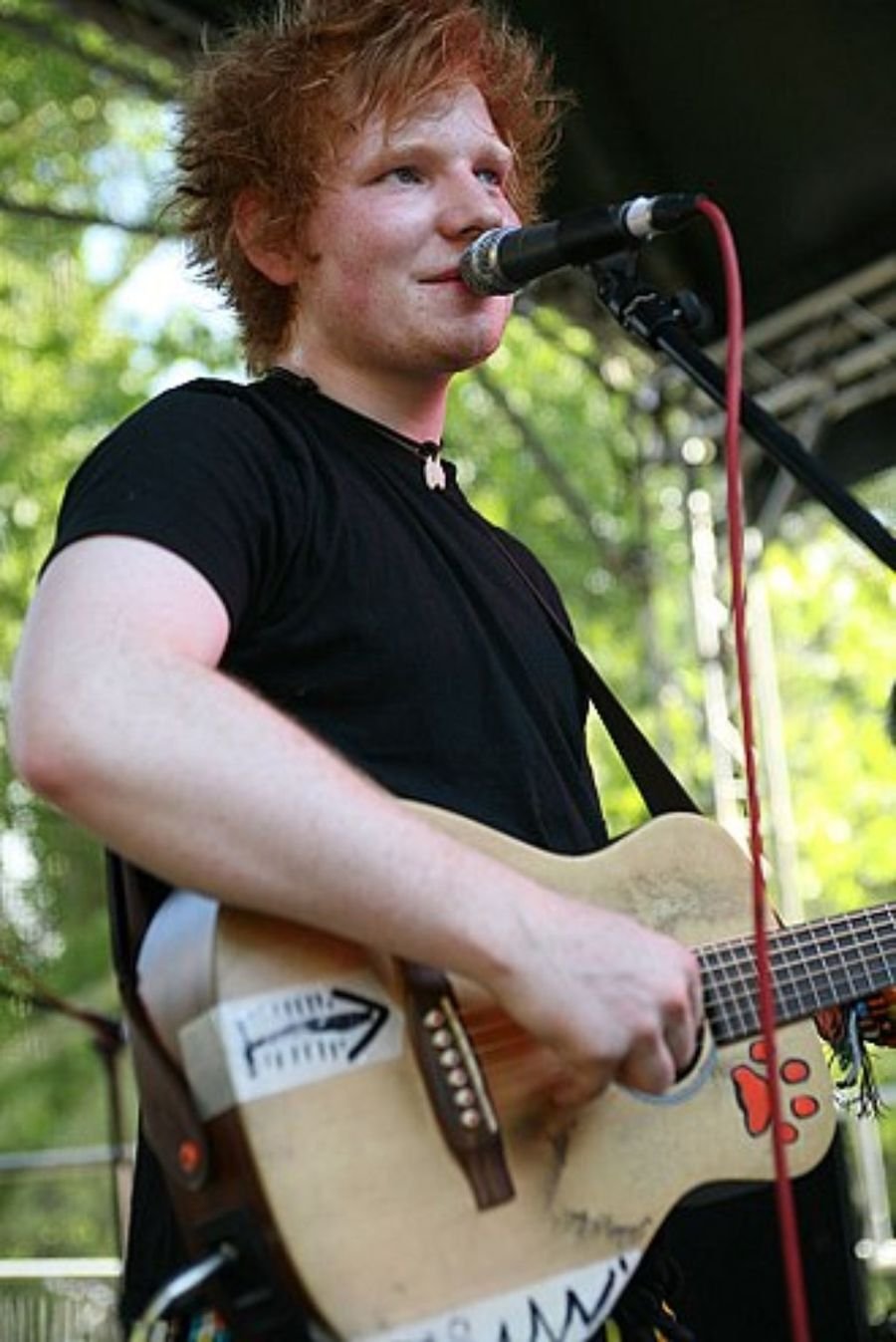 Red-haired musician singing into a microphone while playing an acoustic guitar outdoors, shown in the early years section