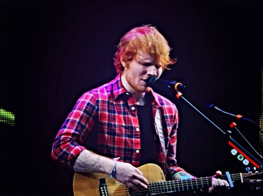 Musician in a red checked shirt singing and playing an acoustic guitar on a dark stage, shown in the family and life away from the stage section