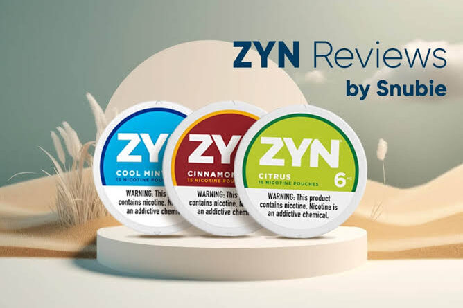 Zyn Flavors