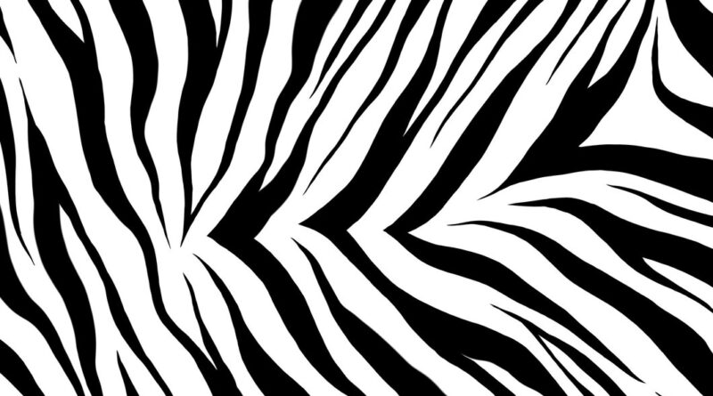 Zebra Print: Timeless, Bold, and Always in Style