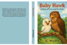When a Fall Teaches Flight: The Emotional Journey of Baby Hawk – A Story of Love and Survival