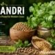 koriandri: Ancient Herb With Powerful Modern Uses