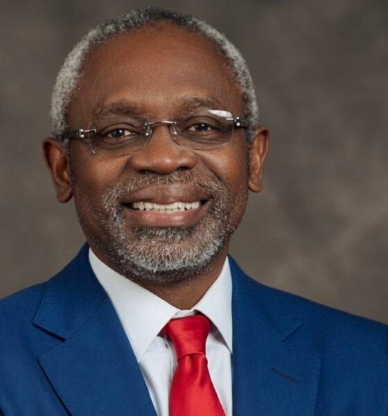 Accuser’s Claims Fall Apart: Nigeria Chief of Staff Cleared in Fake Agency Scandal
