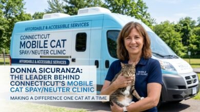 Donna Sicuranza: The Leader Behind Connecticut's Mobile Cat Spay/Neuter Clinic
